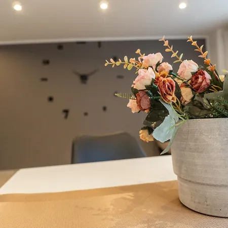 Flow Trogmann Merano